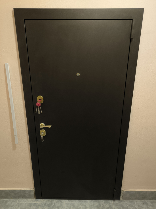 Фото входной двери №23